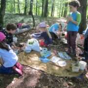 2023-24_08-09_naturspielwald_waldfüx_müsere_lehmfarbe (8)